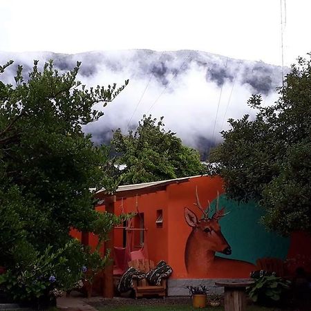 La Estacion Hostel ラゴ・プエロ エクステリア 写真