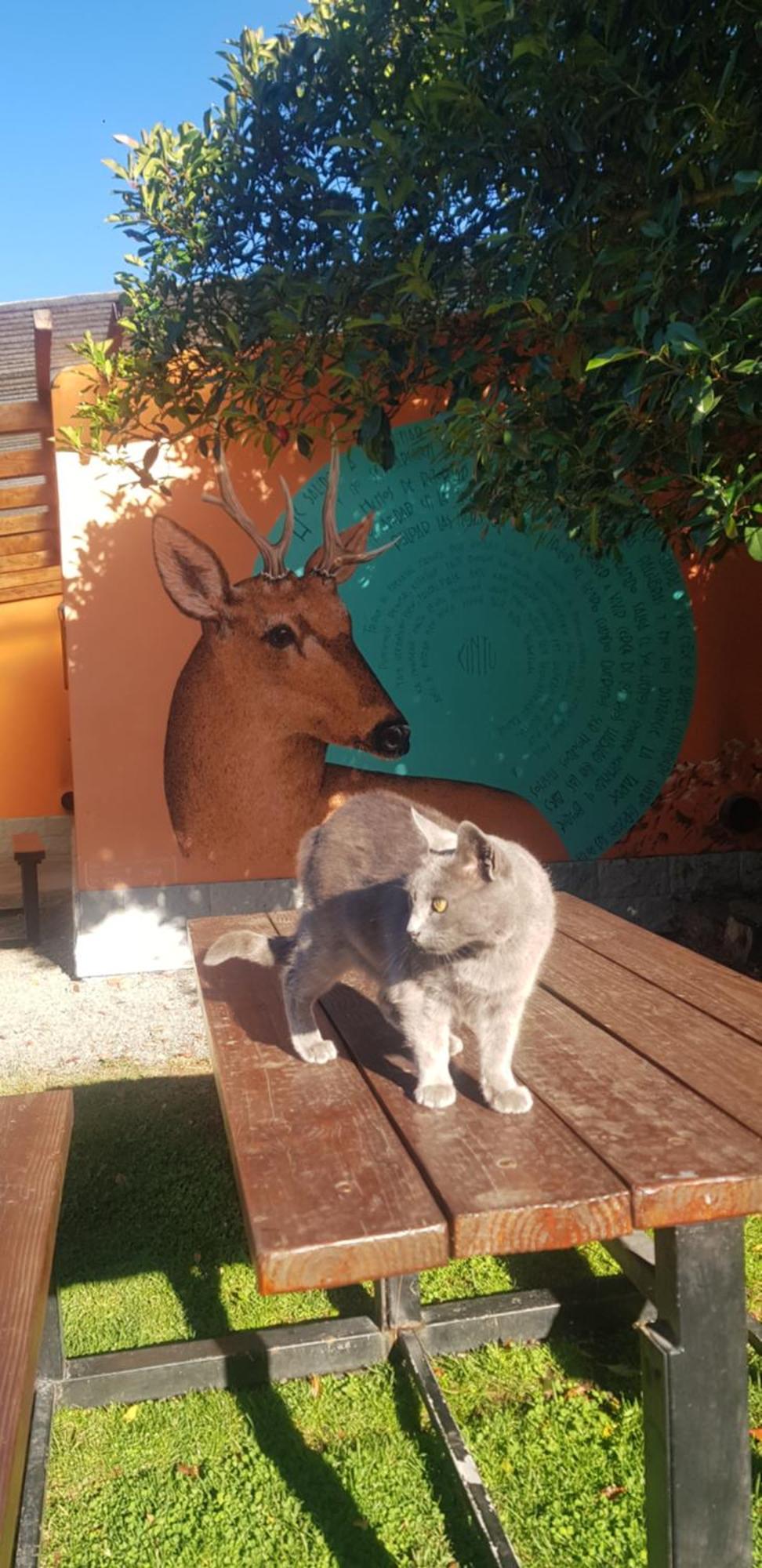 La Estacion Hostel ラゴ・プエロ エクステリア 写真